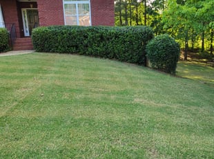 Bush Trimming by Ralph Mcgruder for Ruben D. in McDonough, GA