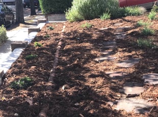 Bush Trimming by Michael Linley for clayton s. in Sacramento, CA