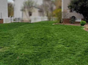 Sally M.'s Lawn Care service result
