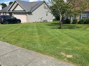 Alex M.'s Lawn Maintenance service result