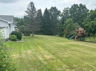 Bill L.'s Grass Cutting service result