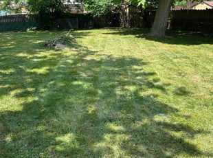 Michael C.'s Lawn Care service result