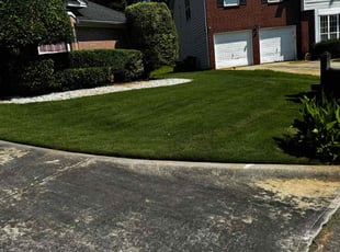 Nate M.'s Yard Cutting service result
