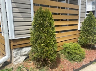 Bush Trimming by Sedrick Wesley for Anderson M. in Kansas City, MO