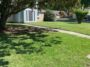 Marian D.'s Lawn Maintenance service result