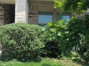 Bush Trimming by Teshna Esparza for Chris P. in Fort Worth, TX