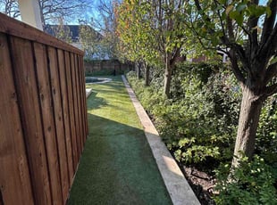 Tanya B.'s Lawn Care service result