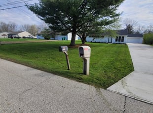 Meosha B.'s Lawn Service service result