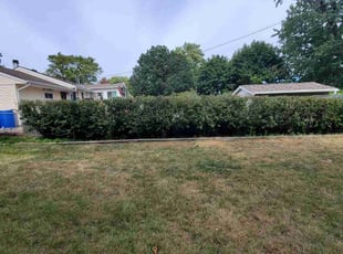 Bush Trimming by Anthony Allison for Scott D. in Bloomington, MN