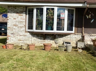 Weeding by Michael Williams for Wendy H. in Milwaukee, WI