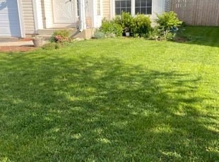 Patrick S.'s Lawn Mowing Service service result