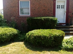 Bush Trimming by Darnell Stribling for Carole W. in South Euclid, OH