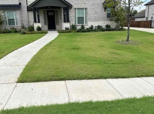 Carlyn H.'s Grass Cutting service result