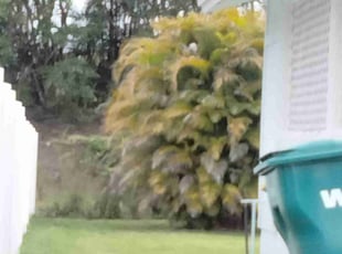 Martin F.'s Lawn Mowing service result
