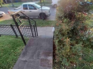 Bush Trimming by Amber Fuentes for Will S. in Washington, DC