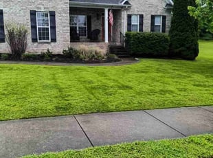 Marissa V.'s Lawn Mowing Service service result