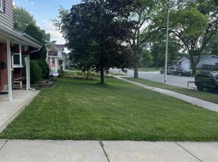 Tim M.'s Grass Cutting service result