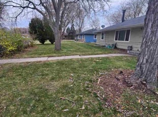Leaf Removal by Natatia Frame for Aaron J. in Bloomington, MN