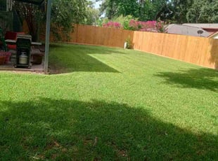 Kevin G.'s Lawn Mowing service result