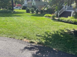 Charles C.'s Lawn Maintenance service result
