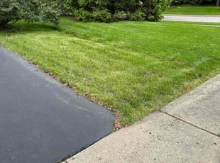 Yoni S.'s Lawn Service service result