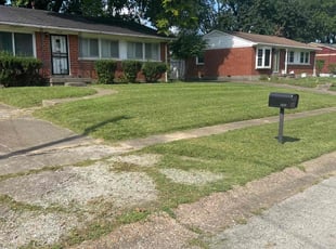 Eve W.'s Lawn Service service result