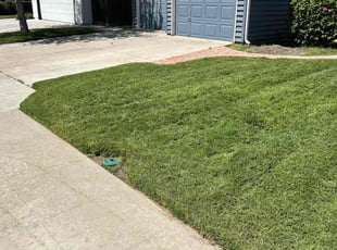 Lettie B.'s Lawn Service service result