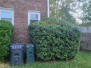 Bush Trimming by Douglas McClelland for Isabelle K. in Vestavia Hills, AL