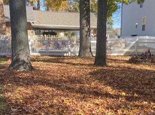 Leaf Removal by Yobani Benitez for Clyde C. in Annapolis, MD