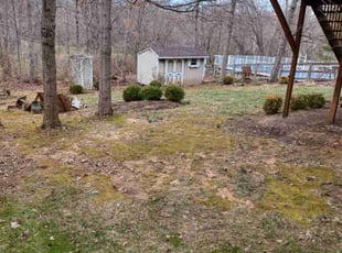 Leaf Removal by Mitchell Johnson for Julia W. in Cincinnati, OH