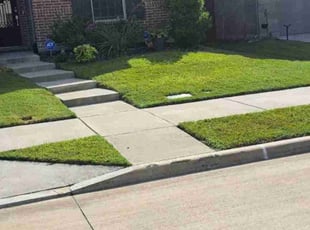 Adrian H.'s Lawn Care service result