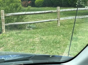 Clarence T.'s Lawn Care service result