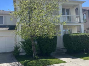 Bush Trimming by Ryan Martinovich for Albert P. in Santa Rosa, CA