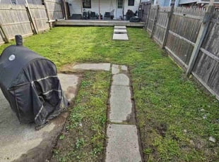 Teresa H.'s Lawn Mowing service result