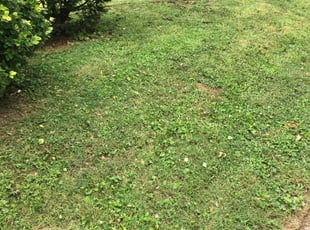 Cleanups by Jacob Young for Tara J. in New Albany, IN