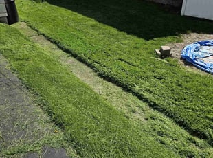 Kendra R.'s Lawn Service service result
