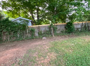 Cleanups by Nick Halferty for Janice T. in Raleigh, NC