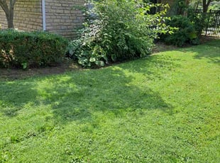 Cleanups by Leroy Green II for SHIRLEY J. in Gahanna, OH