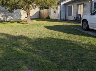 joyce C.'s Lawn Mowing Service service result