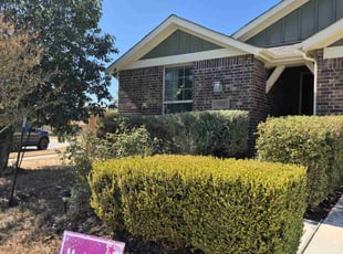 Bush Trimming by Jimmy Saucedo for Jason B. in Austin, TX