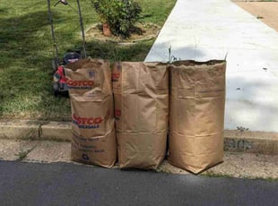 Adam S.'s Flower Bed Weeding service result
