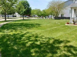 Darryl H.'s Lawn Care service result