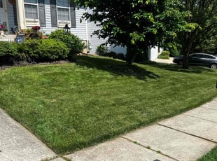 Dan T.'s Lawn Care service result