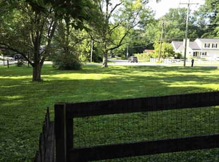 Jennifer C.'s Lawn Maintenance service result