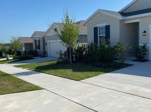 Delmaris R.'s Lawn Service service result