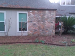 Bush Trimming by Bryan Kyzar for Carol C. in Baton Rouge, LA