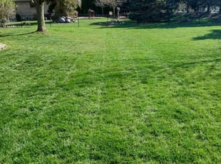 Vicky W.'s Lawn Maintenance service result