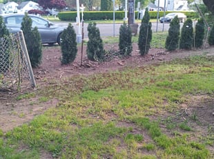Leaf Removal by Savin Ungaro for Roberts R. in East Hartford, CT