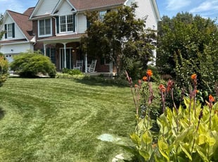 Cheryl M.'s Lawn Mowing service result