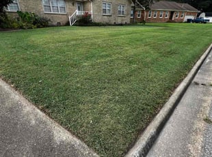 Linda R.'s Lawn Mowing service result